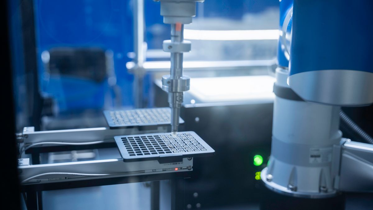 聚鑫汇网络服务全面升级，助力客户体验再提升